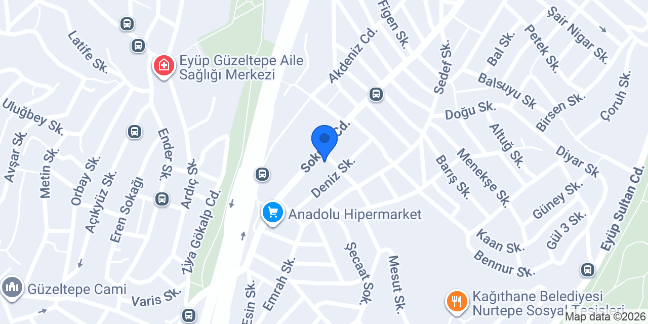 DEZ ET GIDA SAN TİC LTD ŞTİ konumu