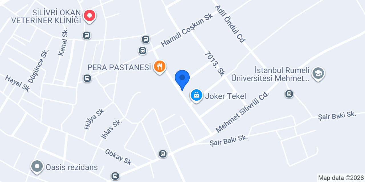 Hepsi jet kargo Silivri konumu