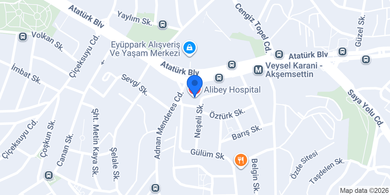 Alibey Hospital konumu