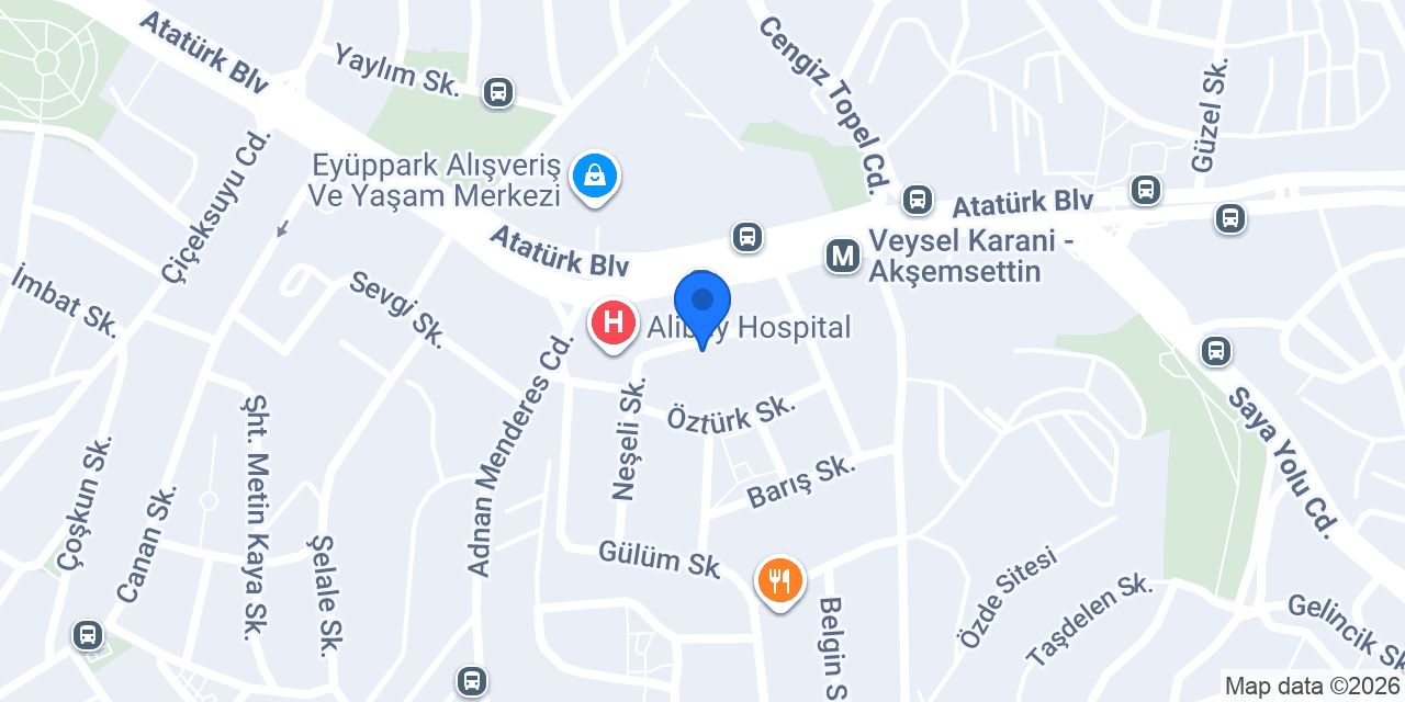 Özel Bihter Anaokulları Eyüp Şubesi konumu