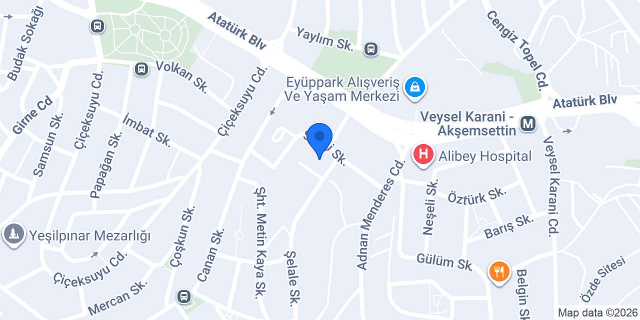 Prestige English Yeşilpınar konumu