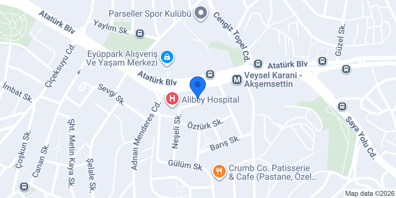 Eyüpsultan Fulnet Eğitim Kurumları konumu