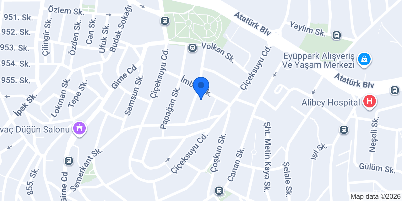 Servis ASSİST konumu
