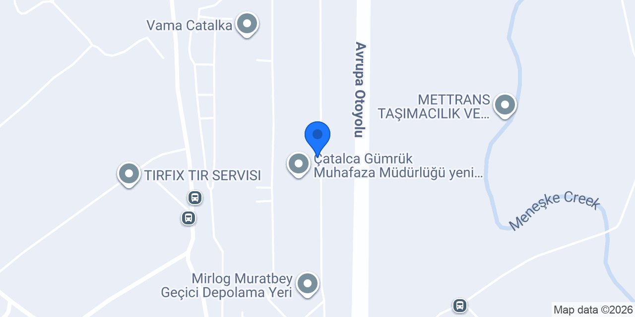 Data Gümrük Müşavirliği konumu
