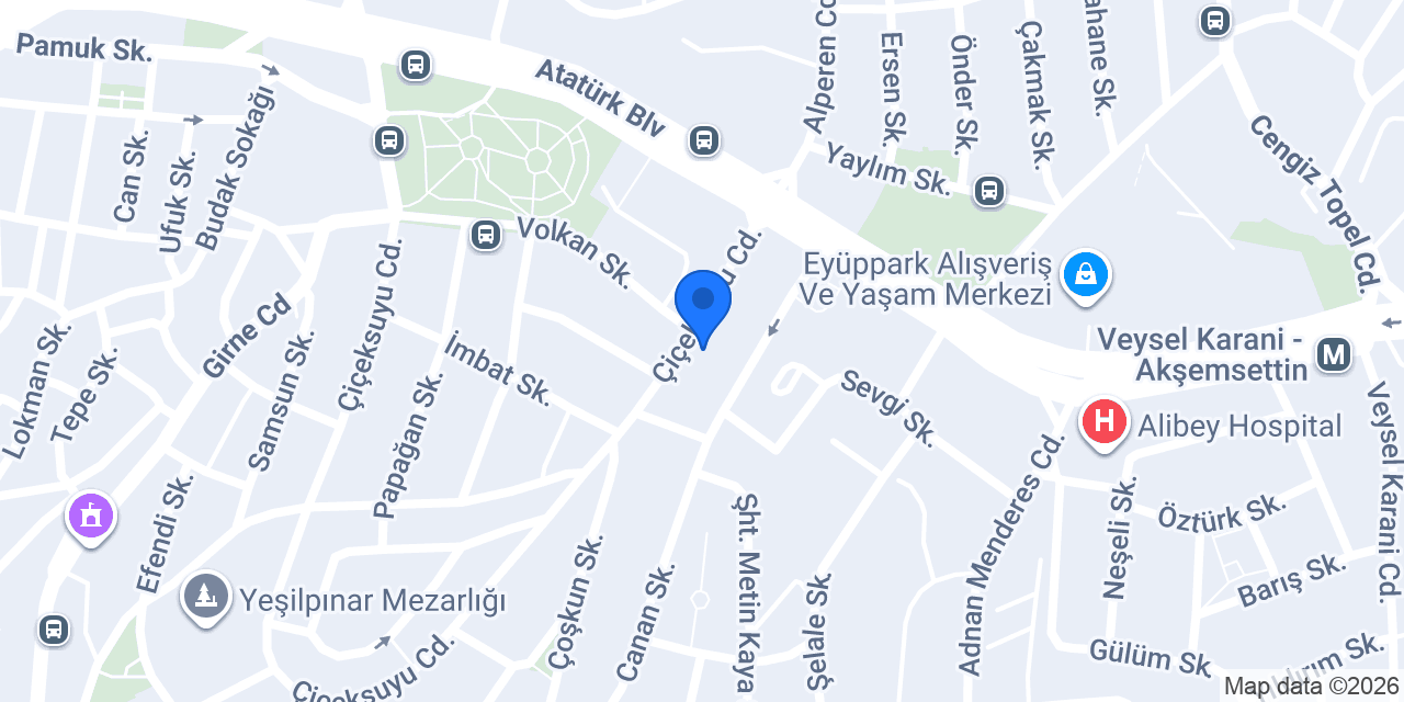 Çiçek Emlak Yeşilpınar konumu
