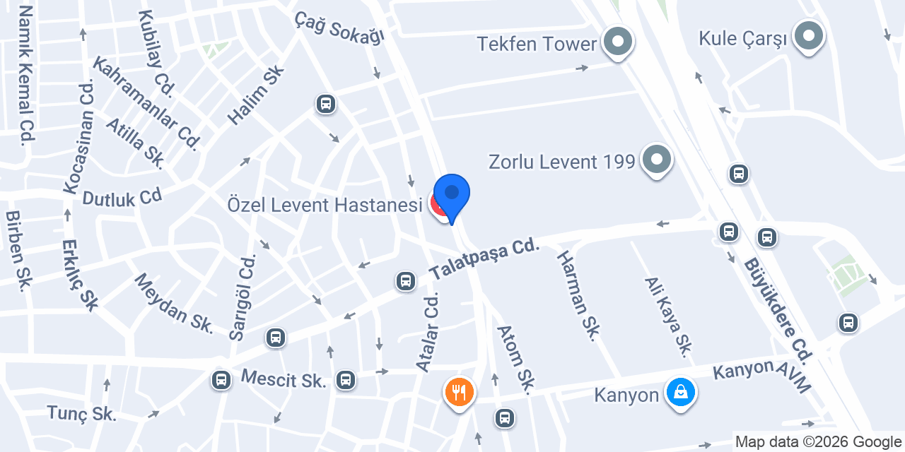 Levent Hair Transplantation konumu
