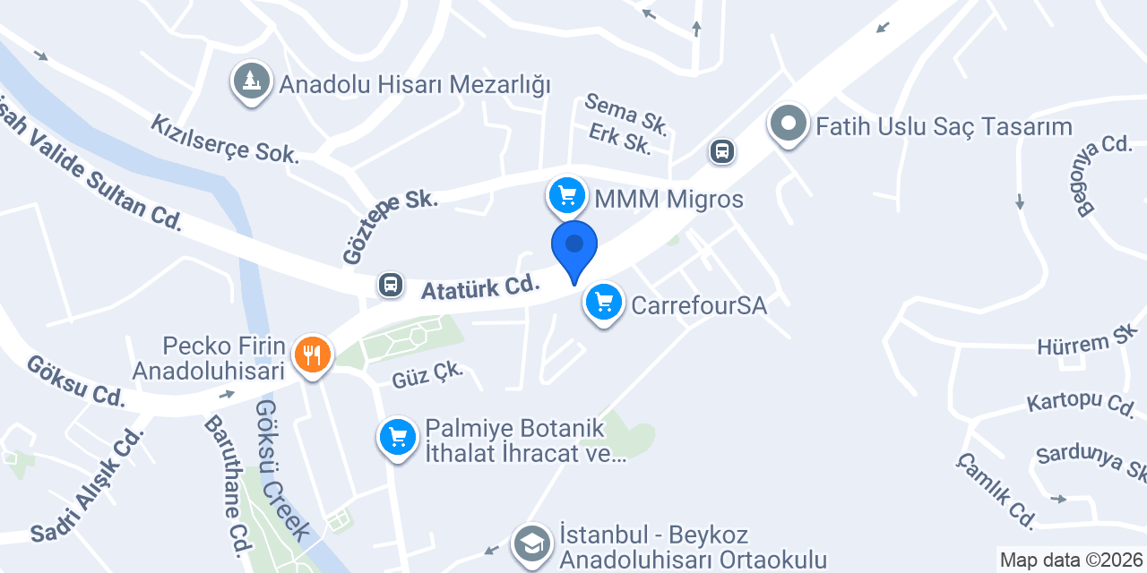 Turkish Airlines konumu