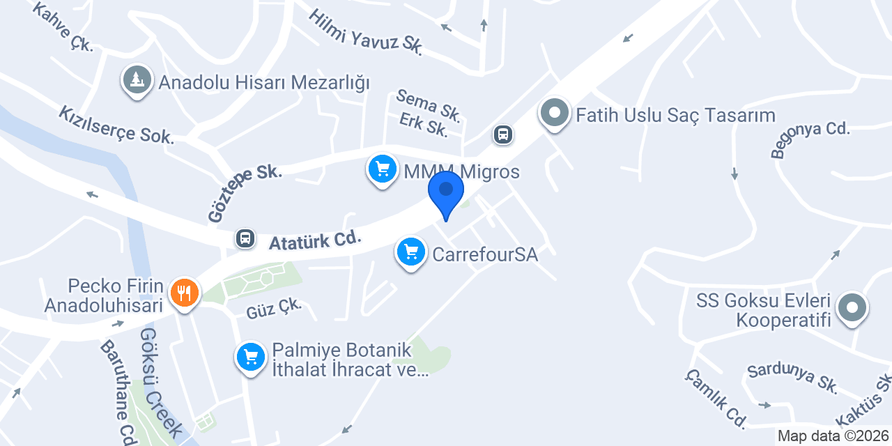 Allianz konumu
