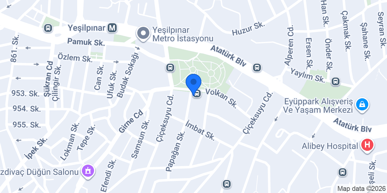 Aras Kargo Yeşilpınar Şubesi konumu