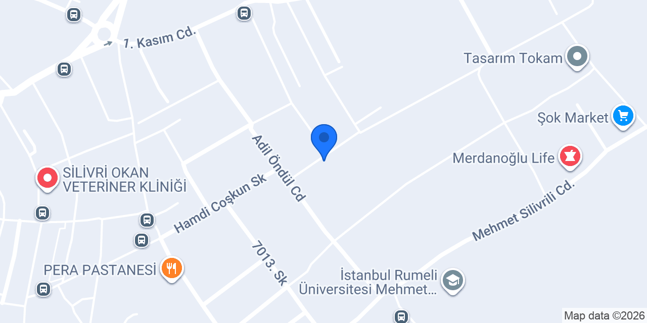 Doğuş Teknik konumu