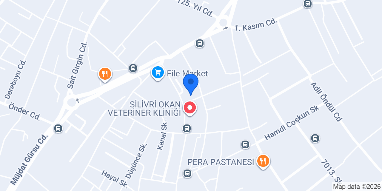 Gamze Eczanesi konumu