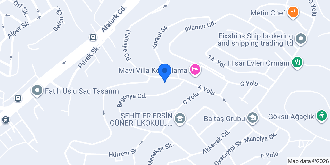 BerBer Zafer Bıyık konumu