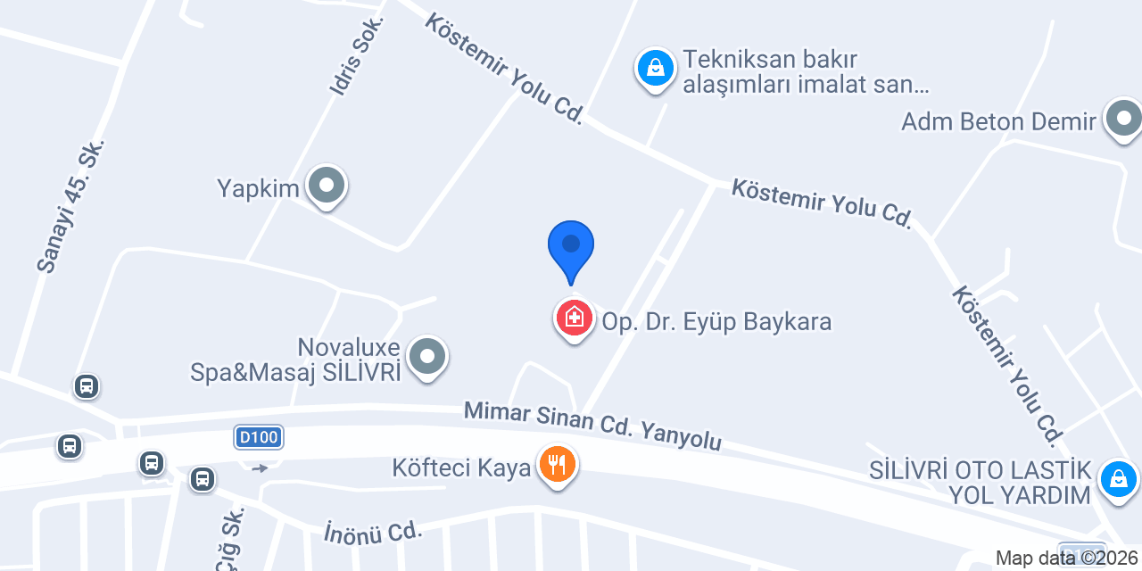 Doç. Dr. Çağdaş Pamuk konumu