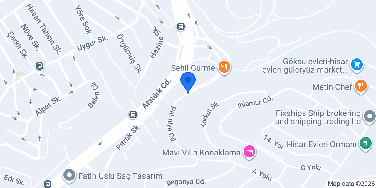 ADELSAN EXPRESS konumu