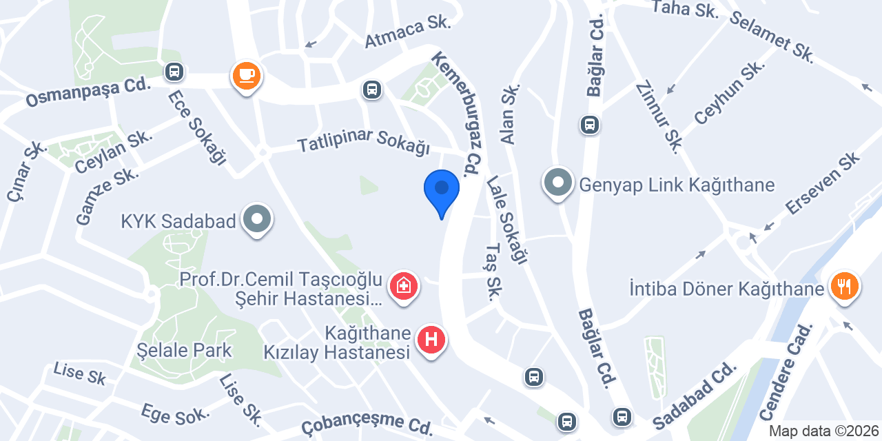 ALİ FUAT CEBESOY ORTAOKULU KAĞITHANE konumu
