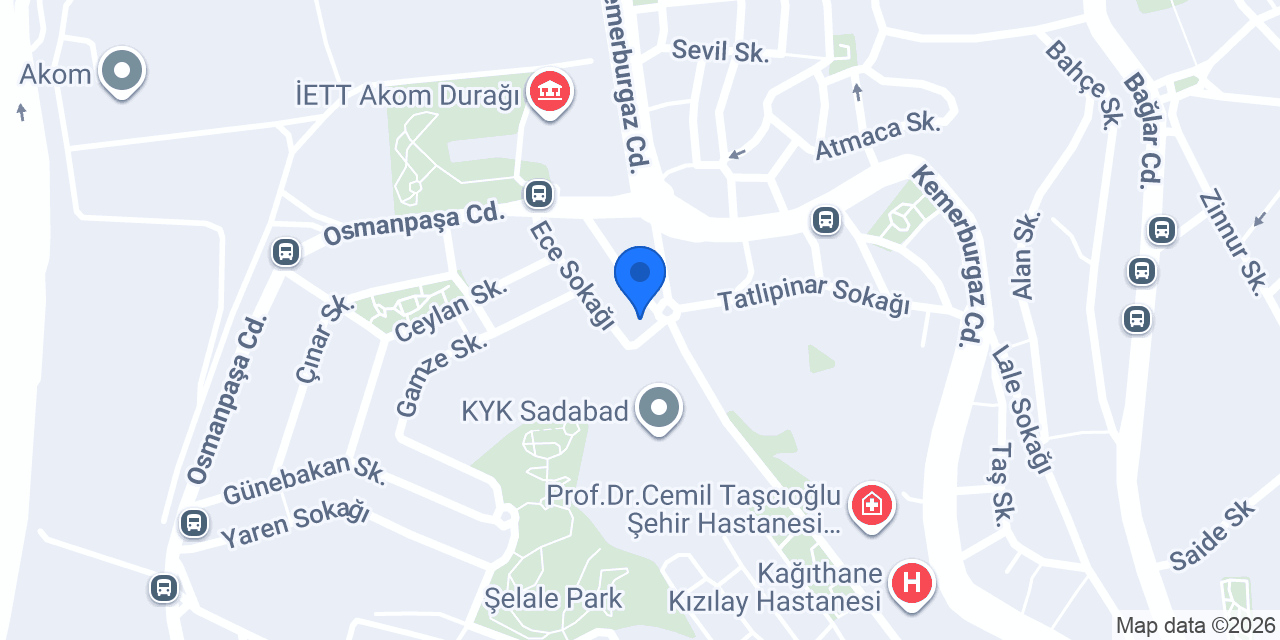 Albayrak Gıda Paz. San. Tic. Ltd. Şti. konumu
