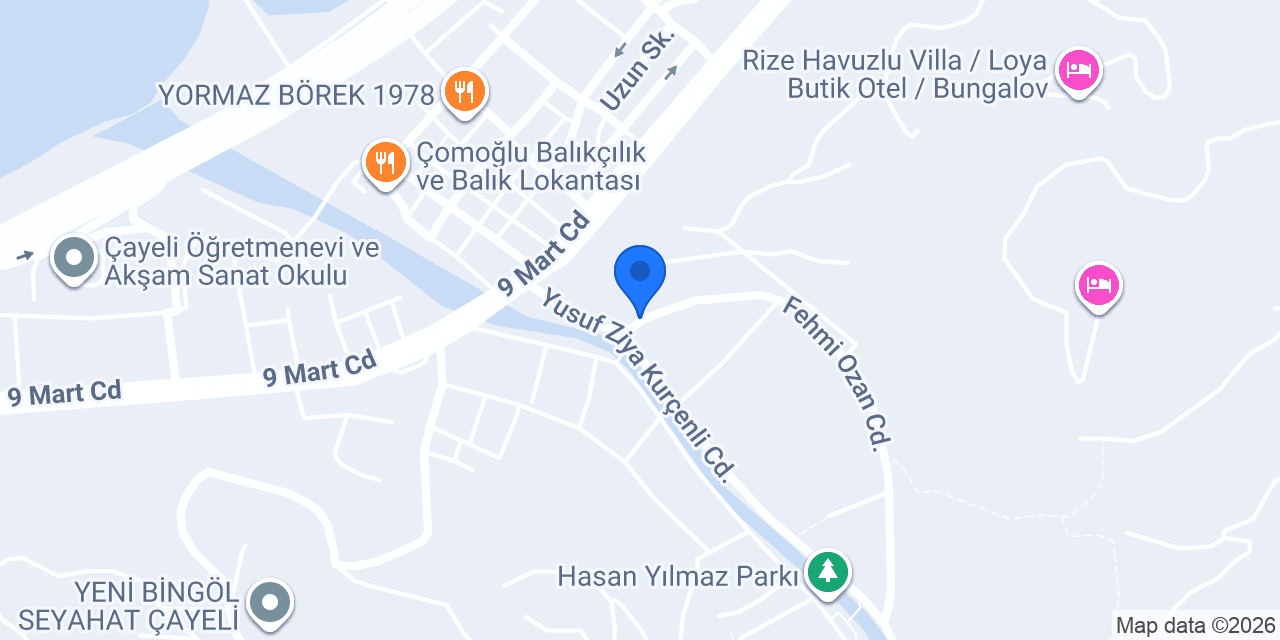 bereket gıda konumu