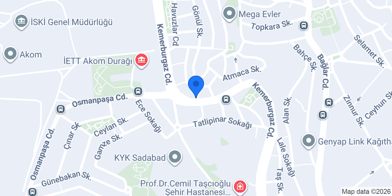 VARAN LASTİK konumu