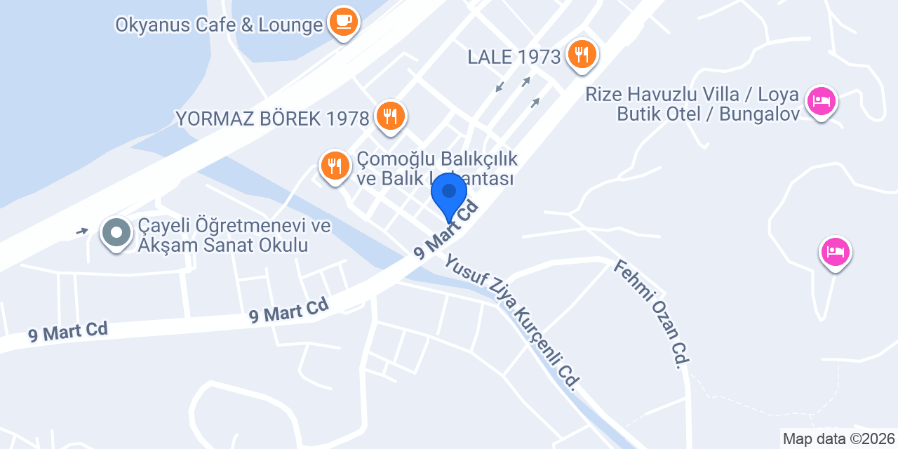 DHL eCommerce - Çayeli Şubesi konumu