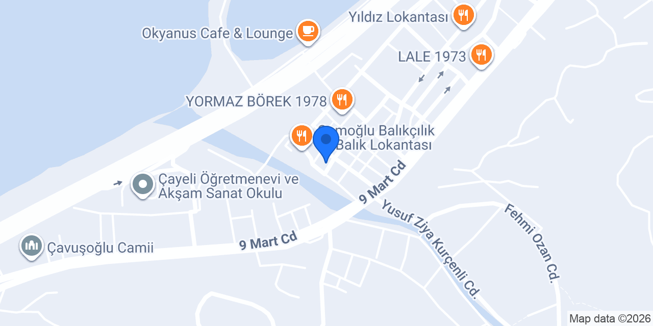 Sahil Seyahat Çayeli konumu