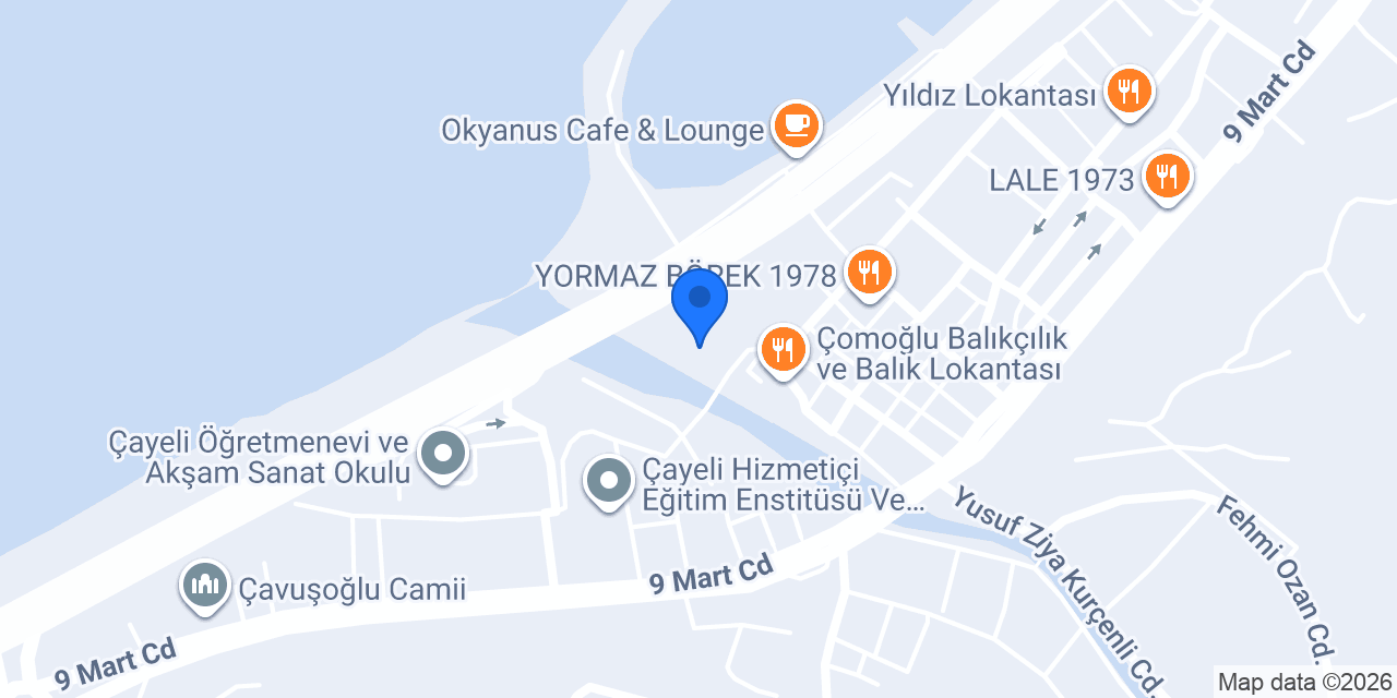 VİB TURİZM ÇAYELİ konumu