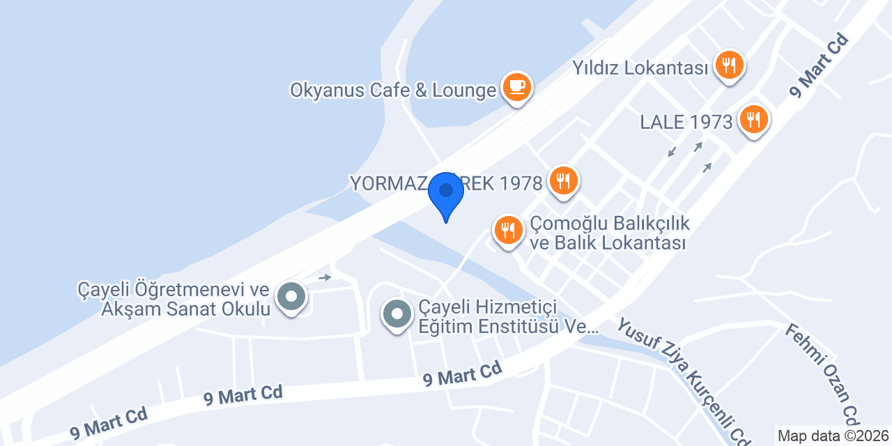 Cesur Bingöl Turizm-Çayeli Şubesi konumu