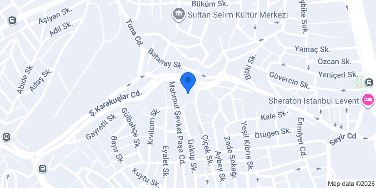 DYO RİZELLİ İNŞAAT YAPI MALZ A.Ş konumu
