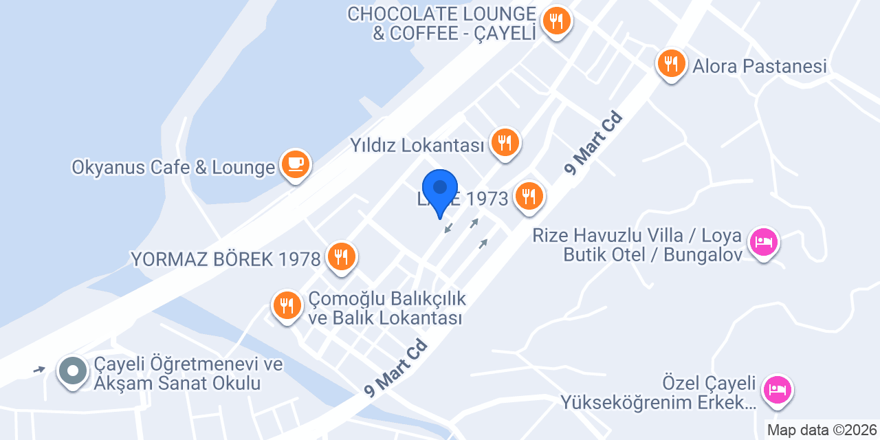 Çayeli Elektronik konumu