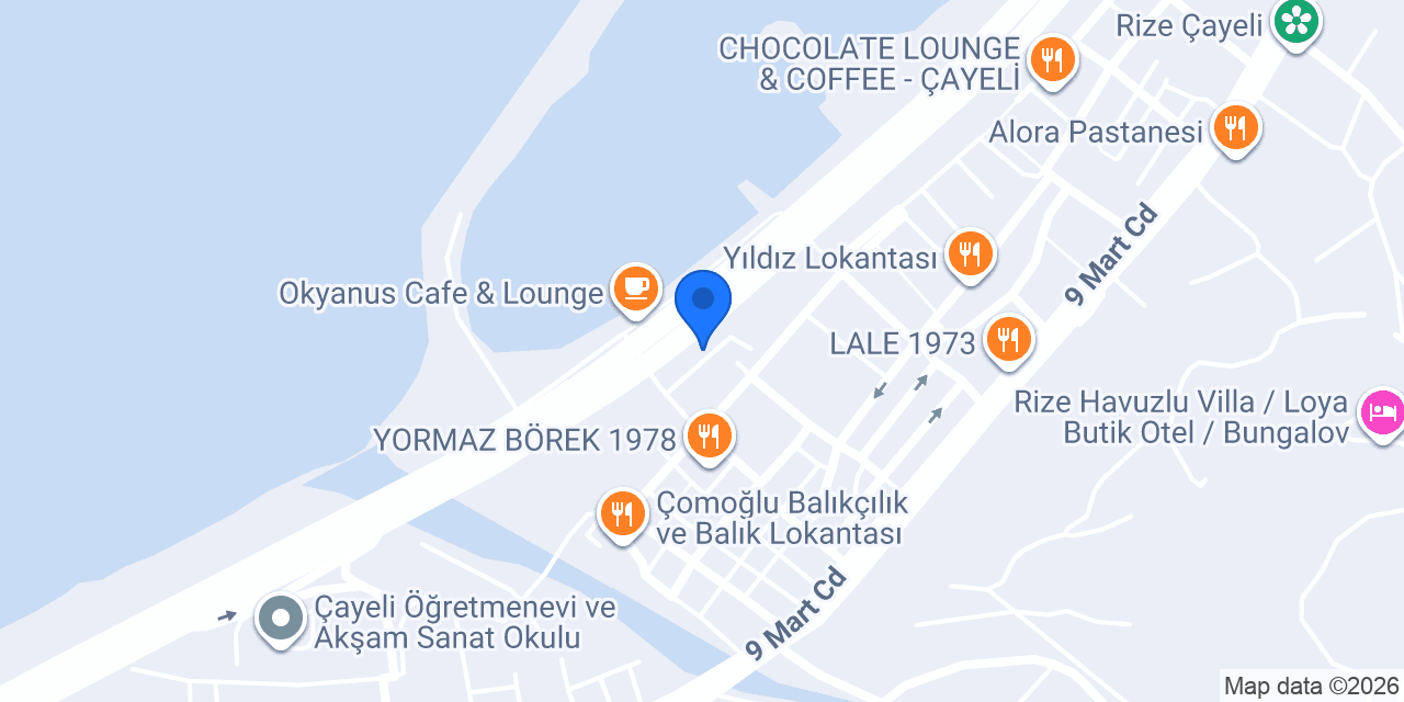 Çayeli kadın girişimi üretim ve işletme kooperatifi konumu