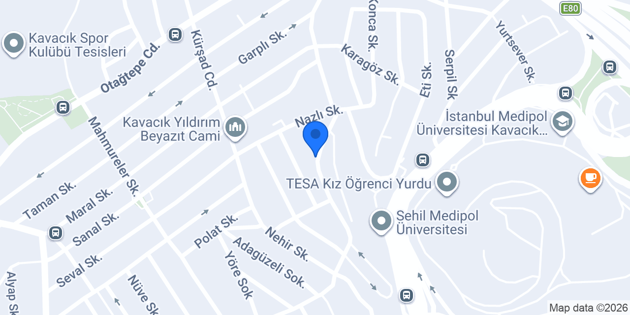 Aslan Çiçekçilik konumu