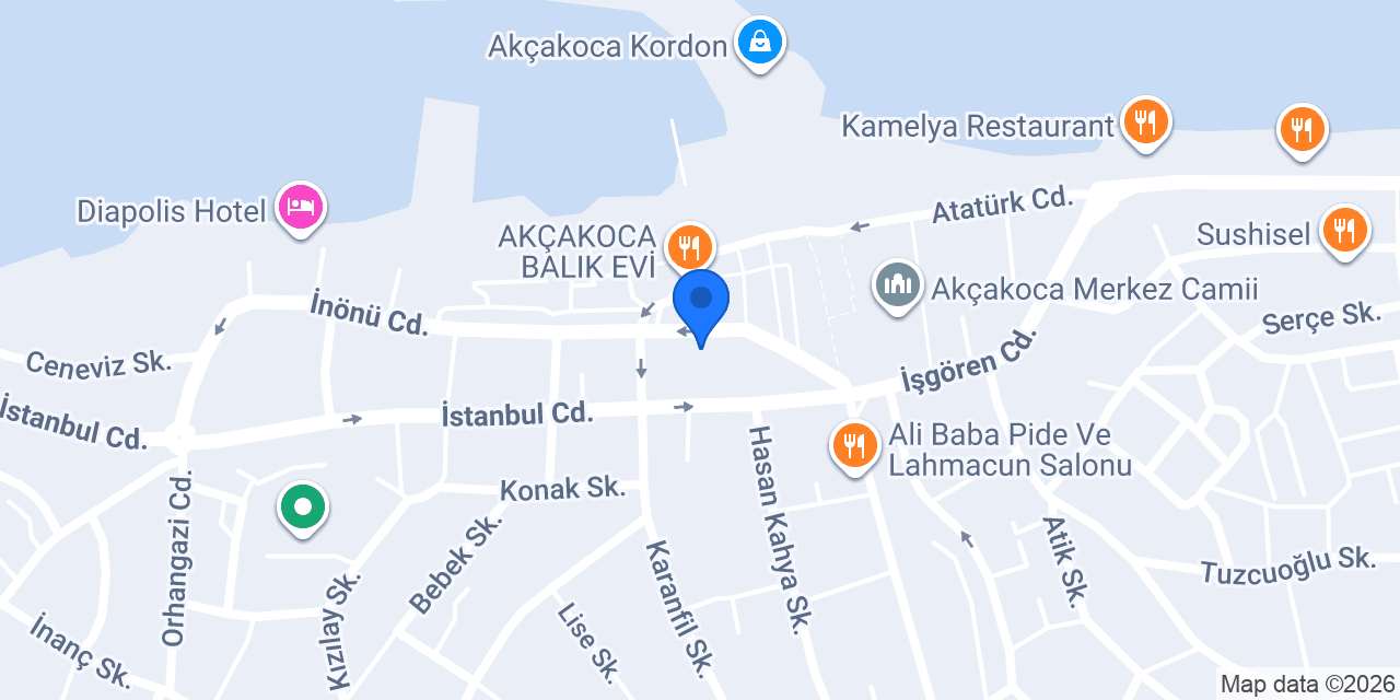 Seley Sigorta Akçakoca Şubesi konumu