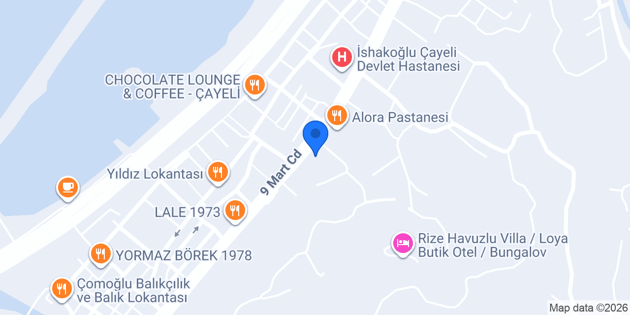 Aras Kargo Çayeli Şubesi konumu