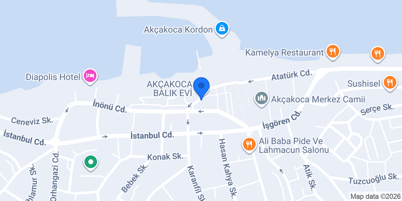 ÇARŞI DALYAN BALIK EVİ konumu