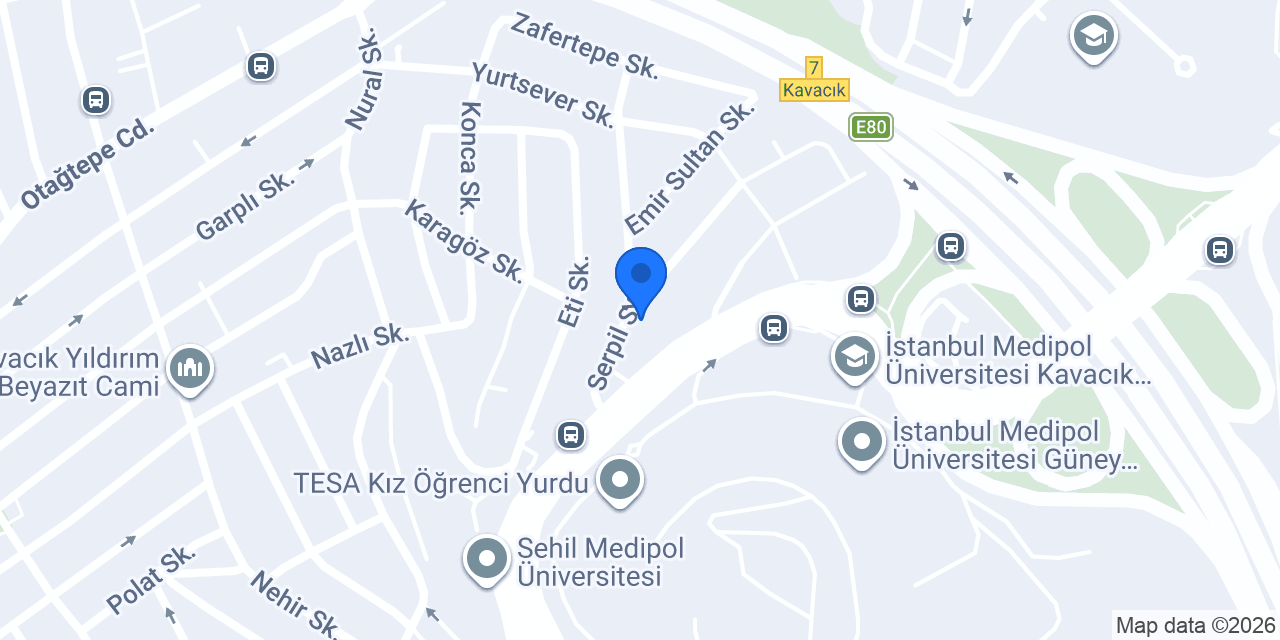 GUSTO GIDA İTHALAT LTD.STI. konumu