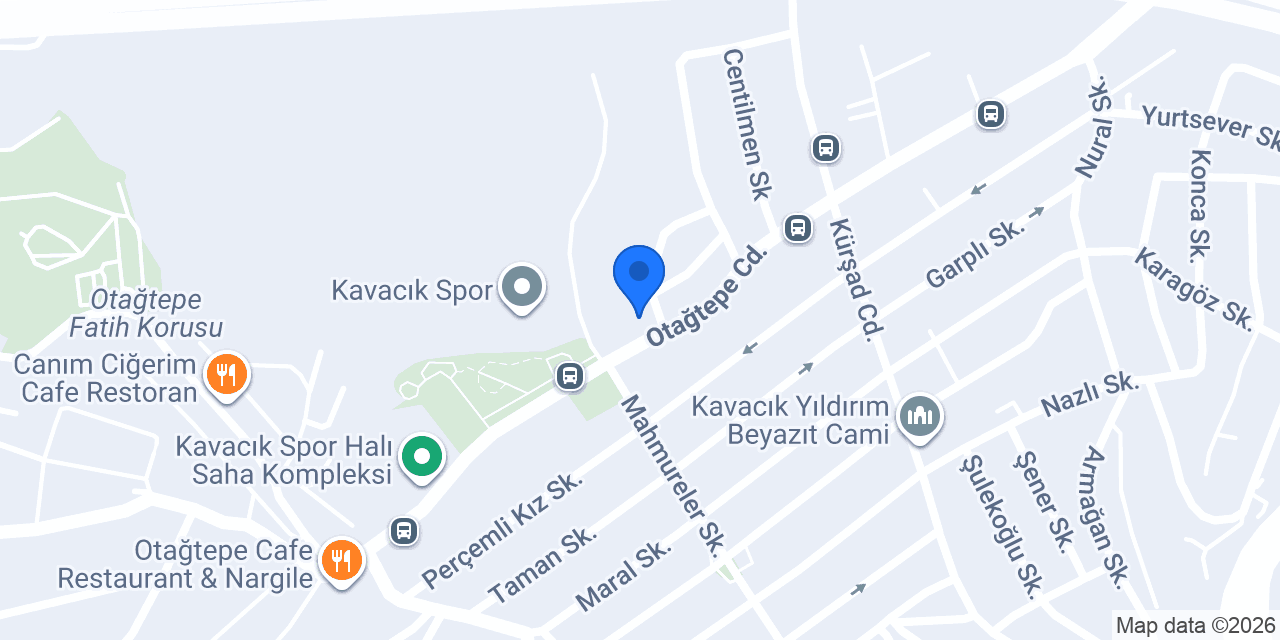 Kavacik Petshop konumu