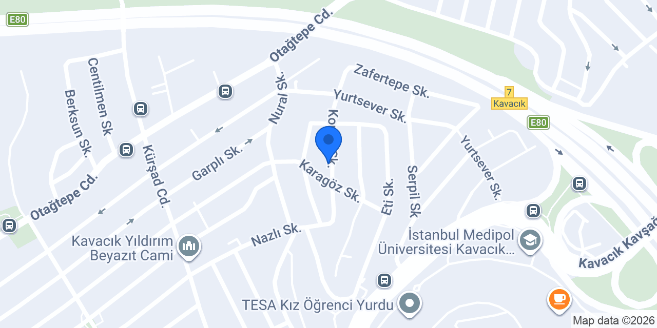 Elmas Bilişim ve E-Ticaret konumu