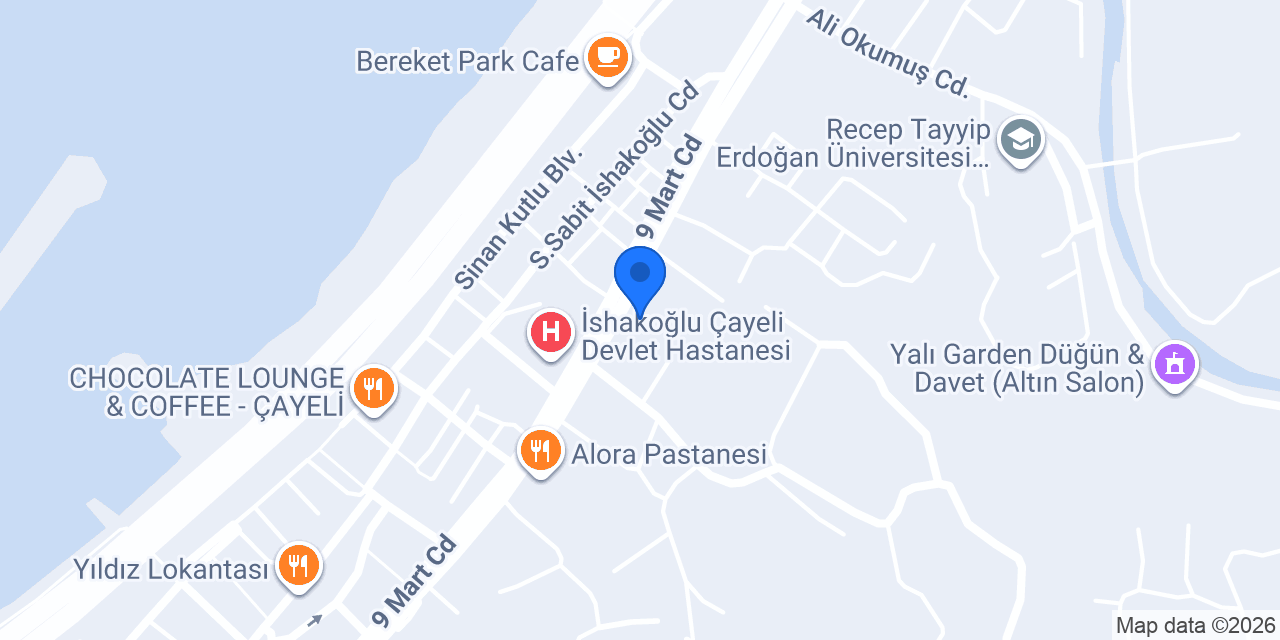 Domino's Pizza Çayeli konumu
