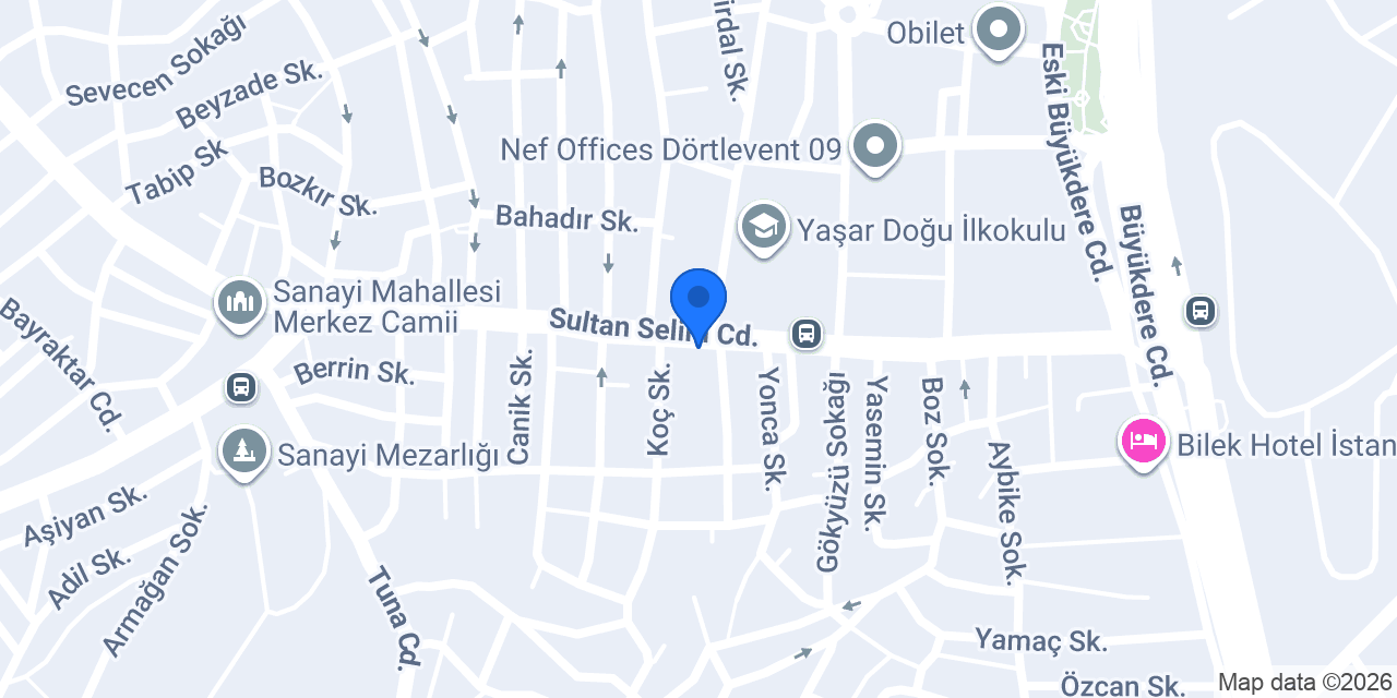 Altın Nisa konumu