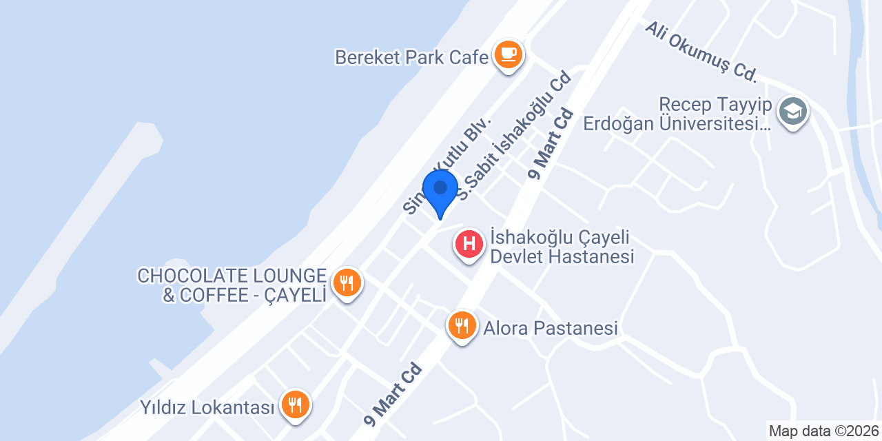 ÇAYELİ ELEKTRİK konumu