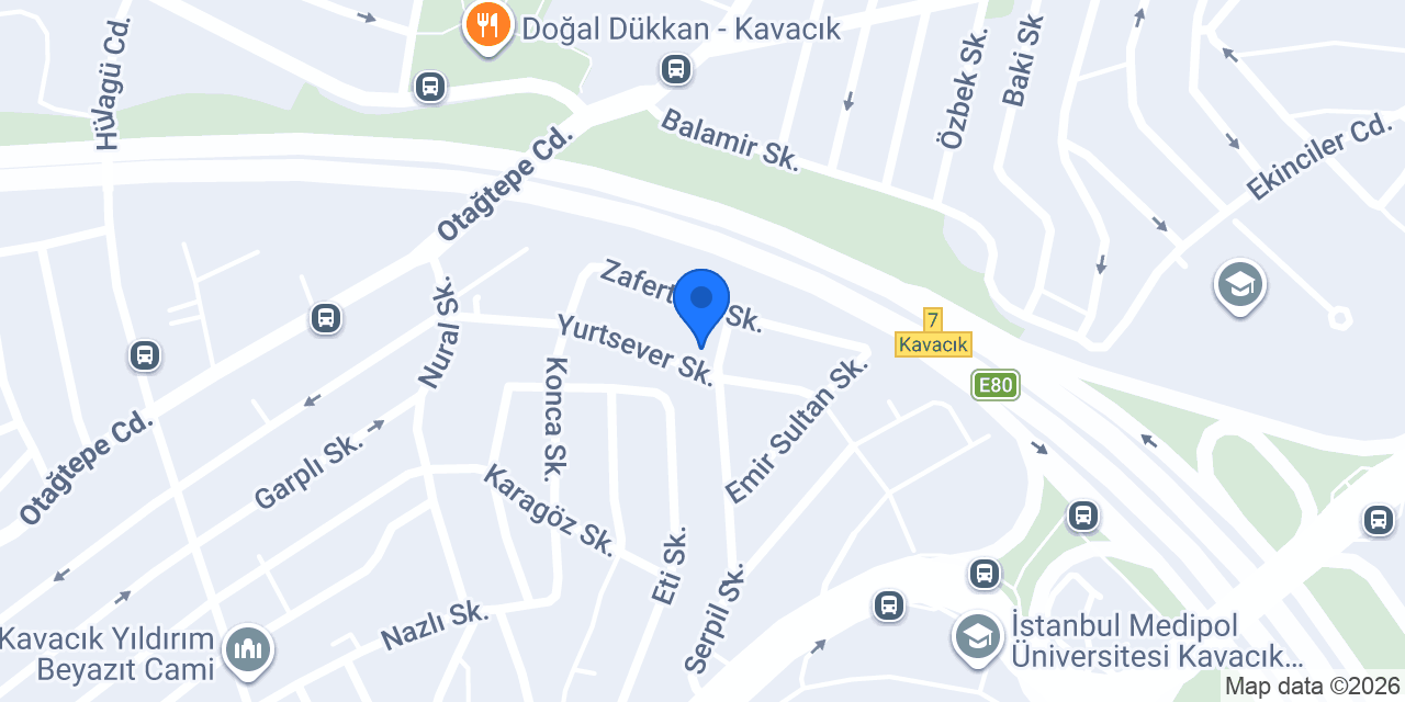 RAYA ORGANİK konumu