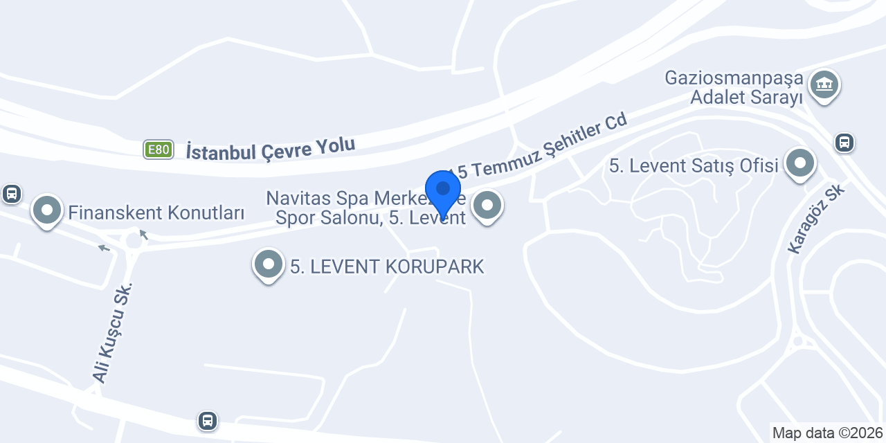 5. Levent Veteriner Kliniği konumu