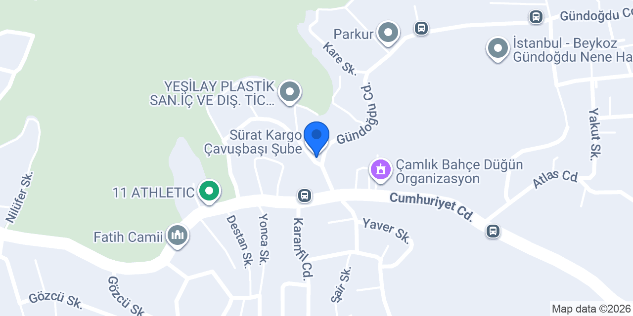 Safi elektrik konumu