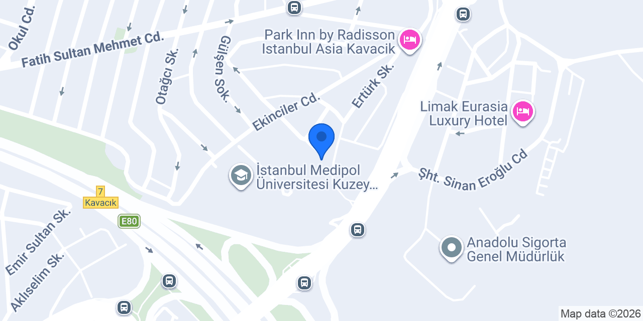 ZBB Denizcilik A.Ş. konumu