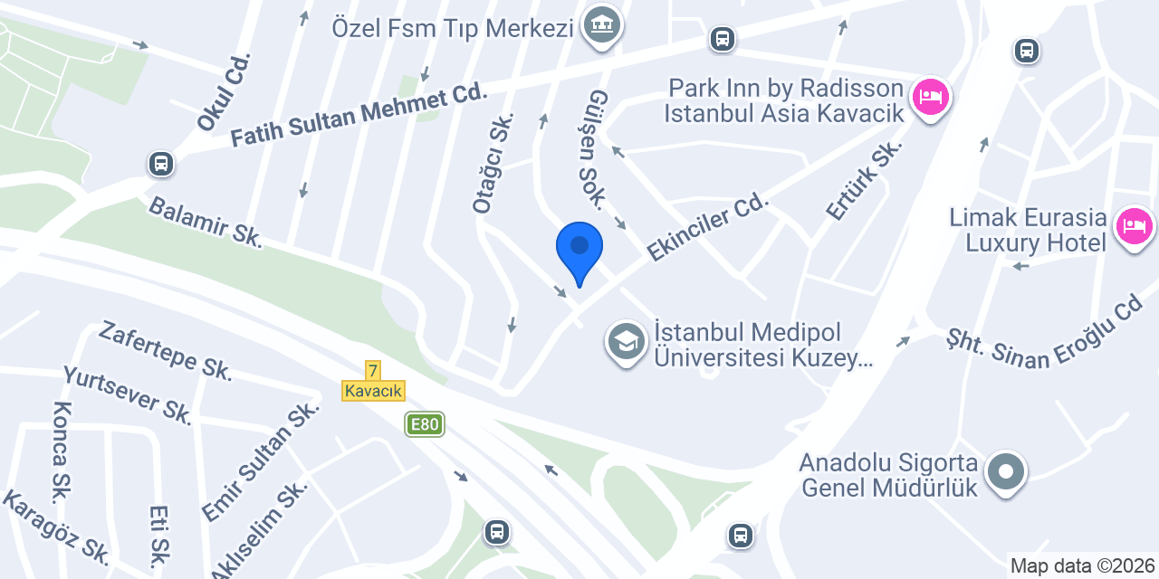 Bilgi Sistemleri A.Ş. konumu
