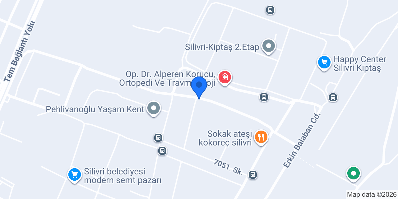 Dilamed Silivri konumu