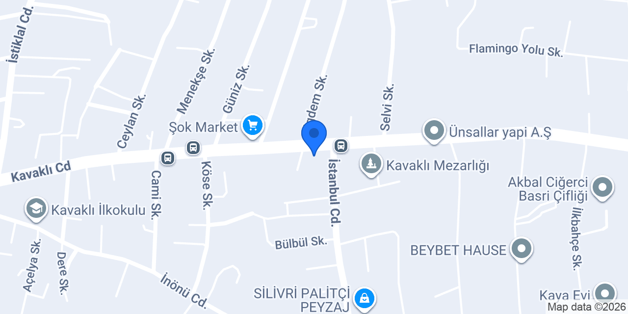 ASLAN ELEKTRİK konumu