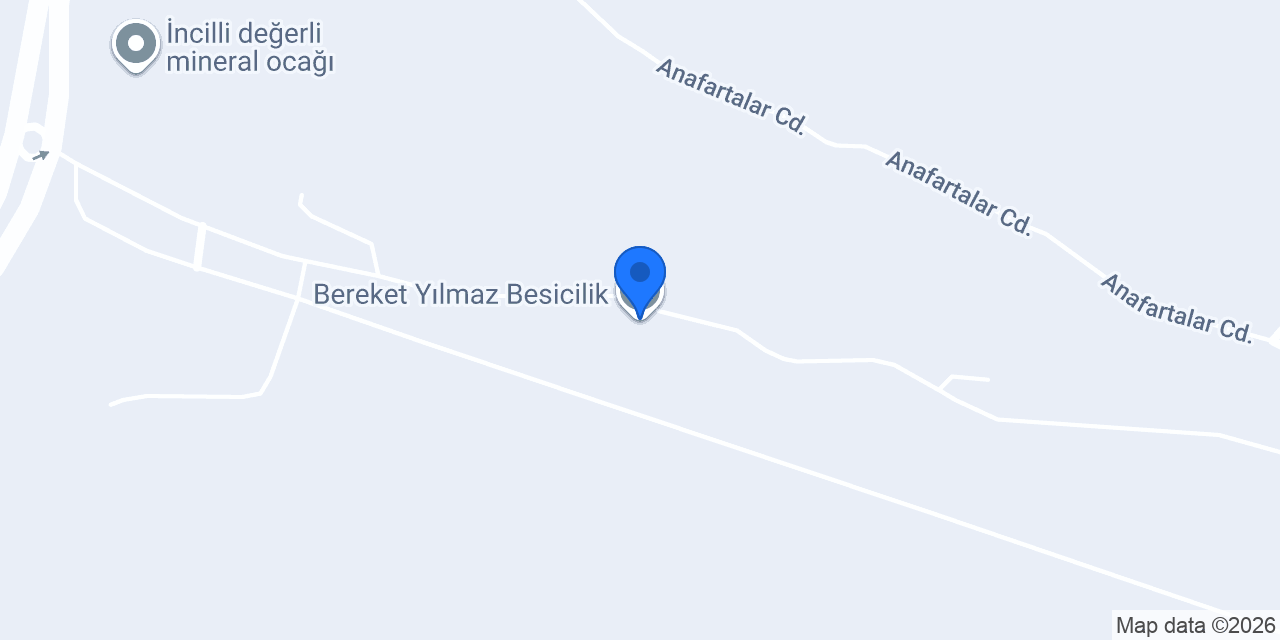 Bereket Yılmaz Besicilik konumu