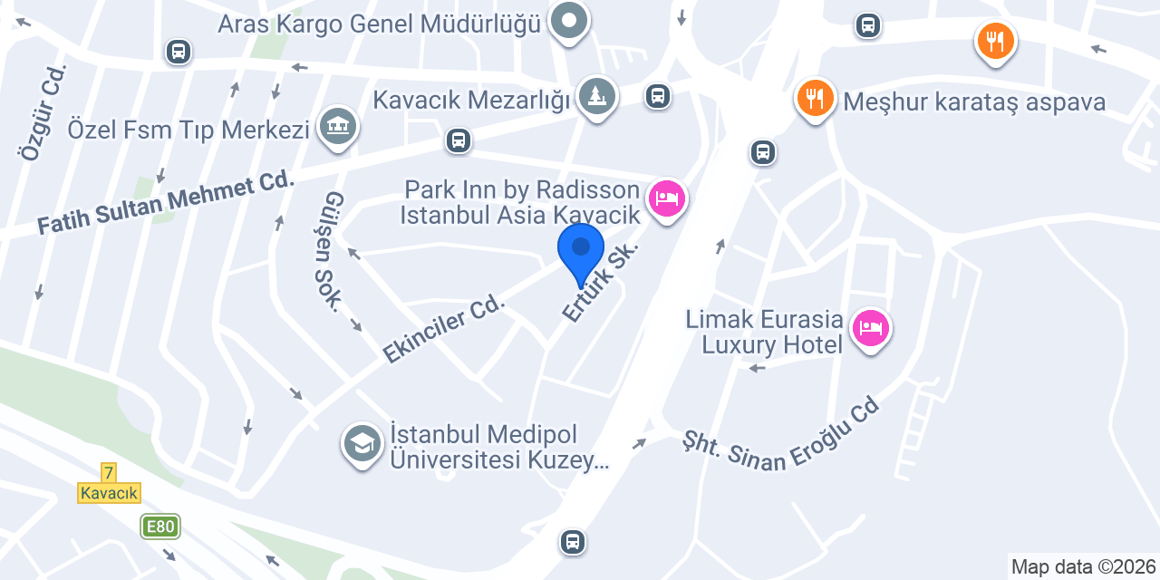 VitrA - Artema - İntema - Başar İş konumu