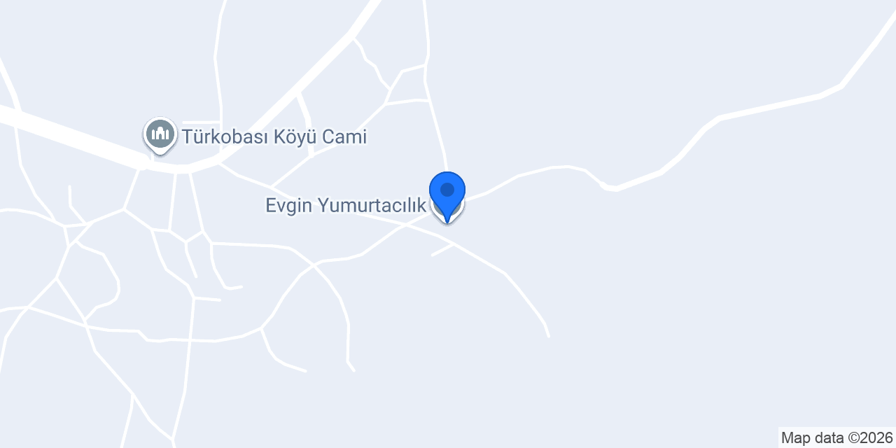 Evgin Yumurtacılık konumu