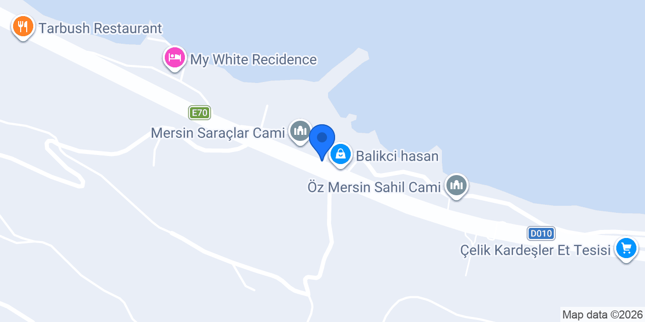 Şehit Engin Saraç İlkokulu konumu